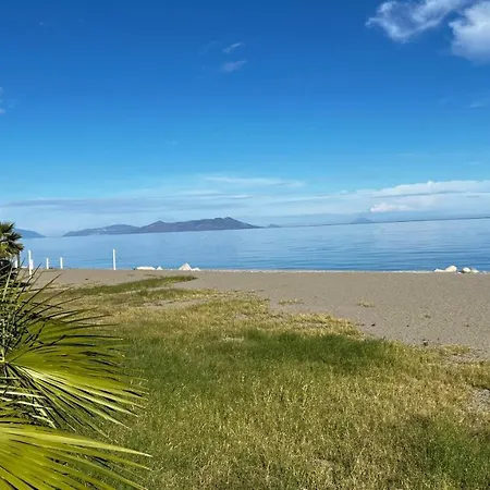 Al Saliceto باتي